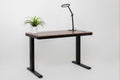 Walnut Wood Top Electric Height-Adjustable Standing Desk