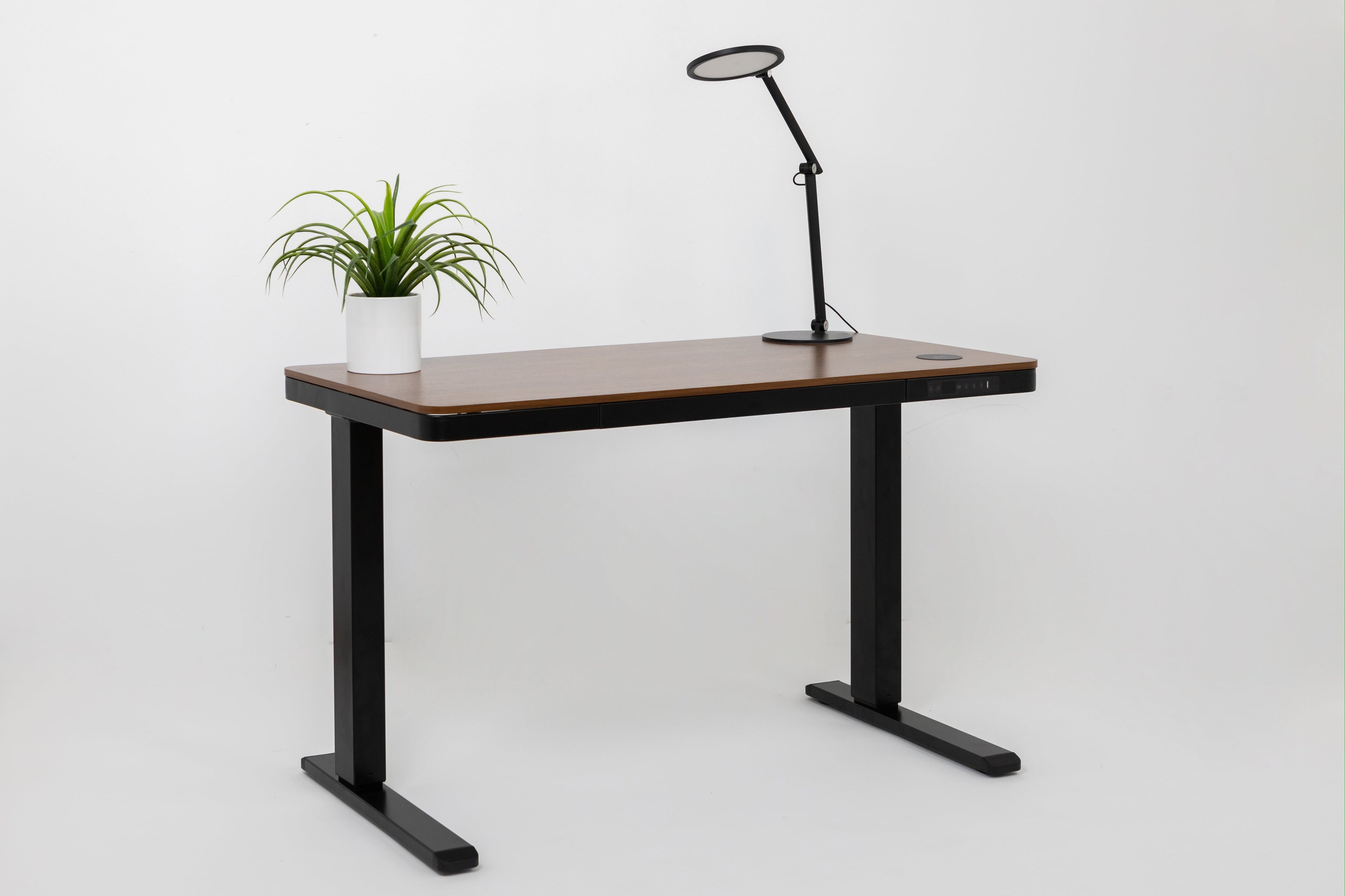 Walnut Wood Top Electric Height-Adjustable Standing Desk